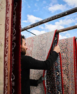خشک کردن قالی در قالیشویی سردار جنگل 